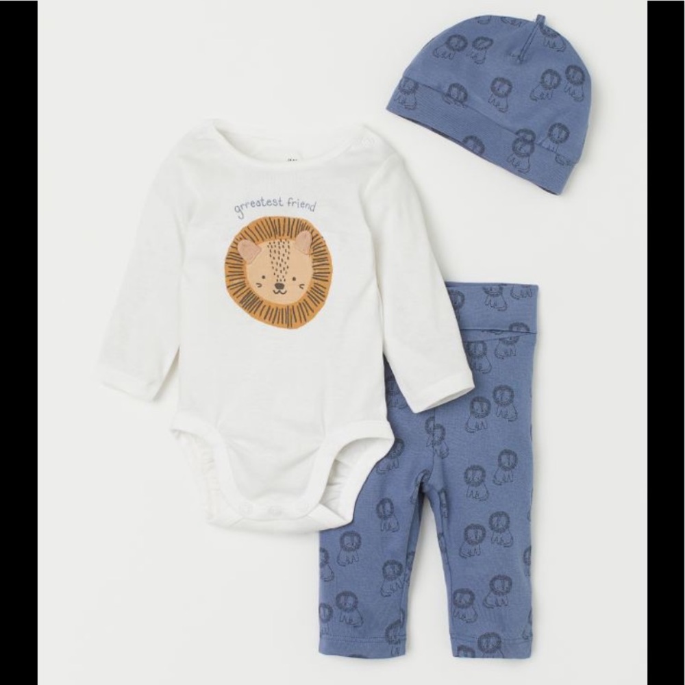 3 pc lion set
